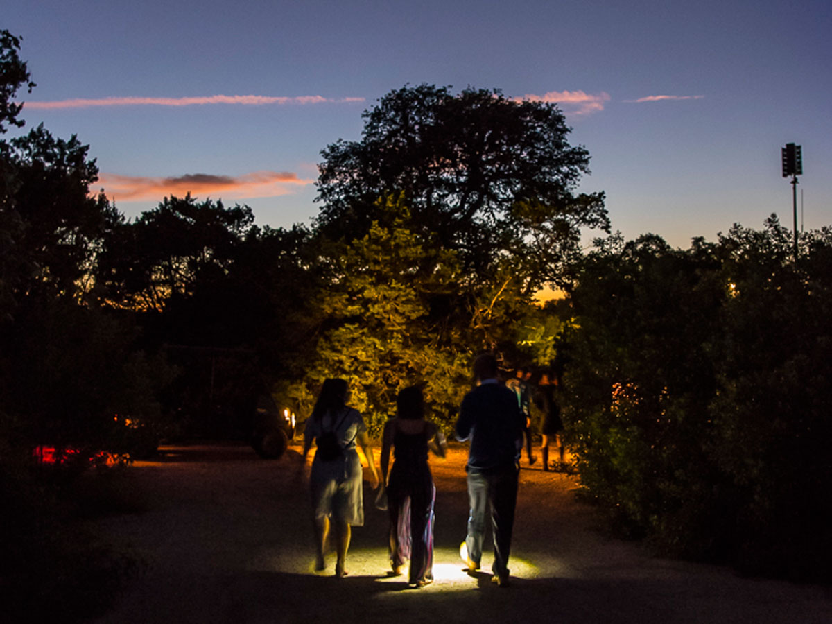 Three people walk on a tree-lined path. One of them shines a way forward through the dark with their flashlight.