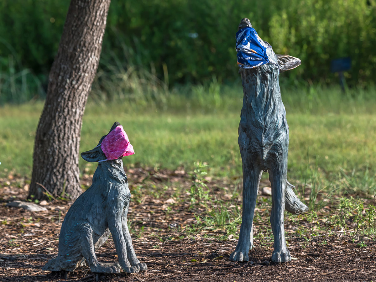 Two metal sculptures of wolves that are wearing colorful fabric masks over their mouths and noses.