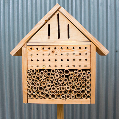 A wooden bee house or insect hotel with a corrugated steel shed behind it.