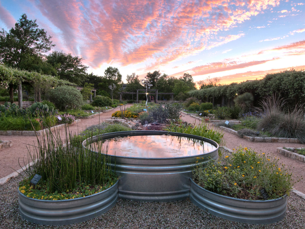 Pink sunset and clouds reflected in a stock tank pond in the Wildflower Center's Theme Gardens.