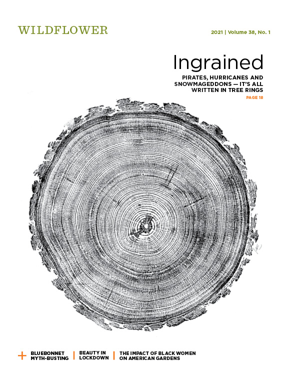 magazine cover with tree ring print in black on white