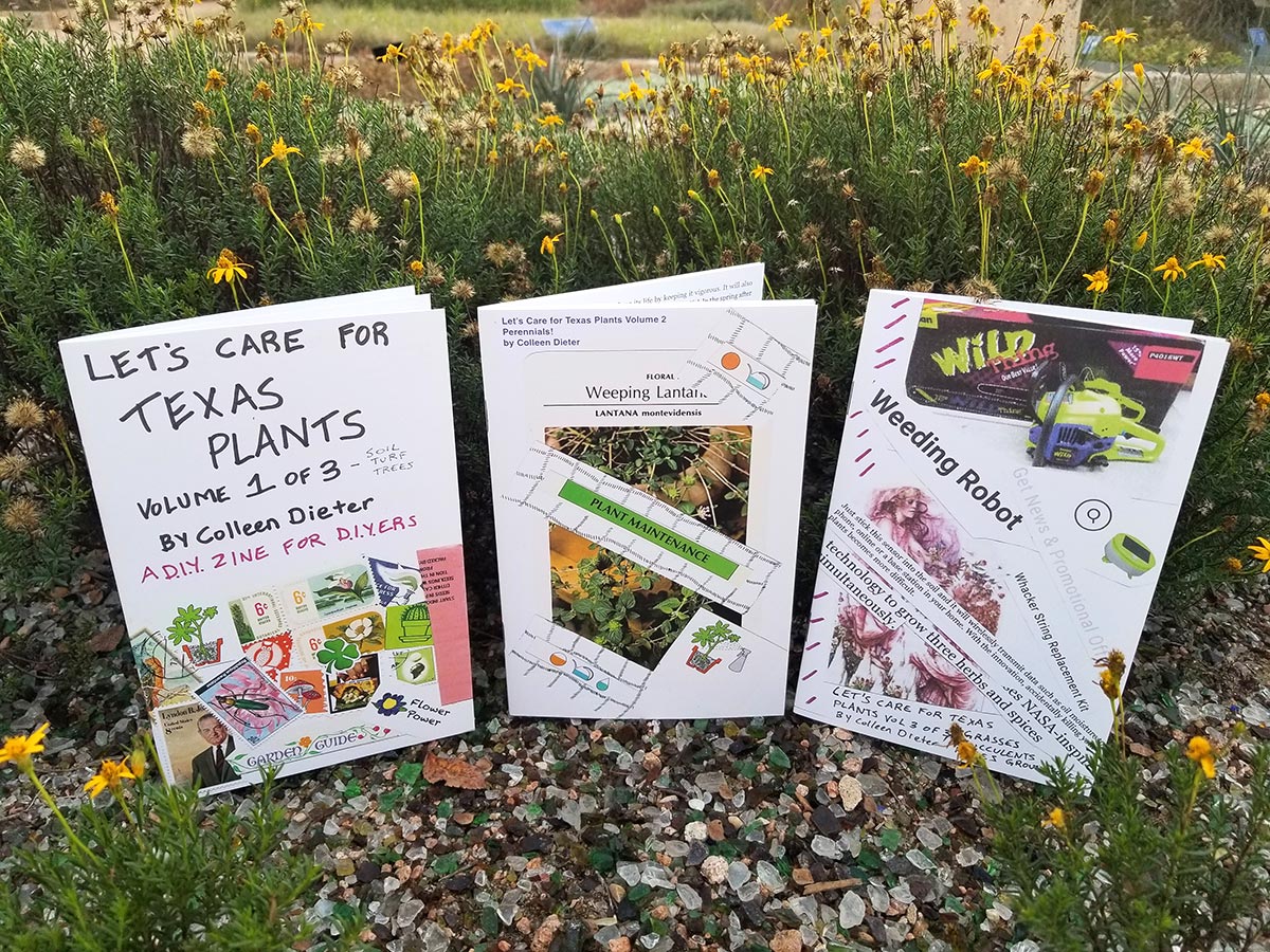 Let's Care for Texas Plants 3 part zine by Colleen Dieter, displayed in a bed of yellow flowers.